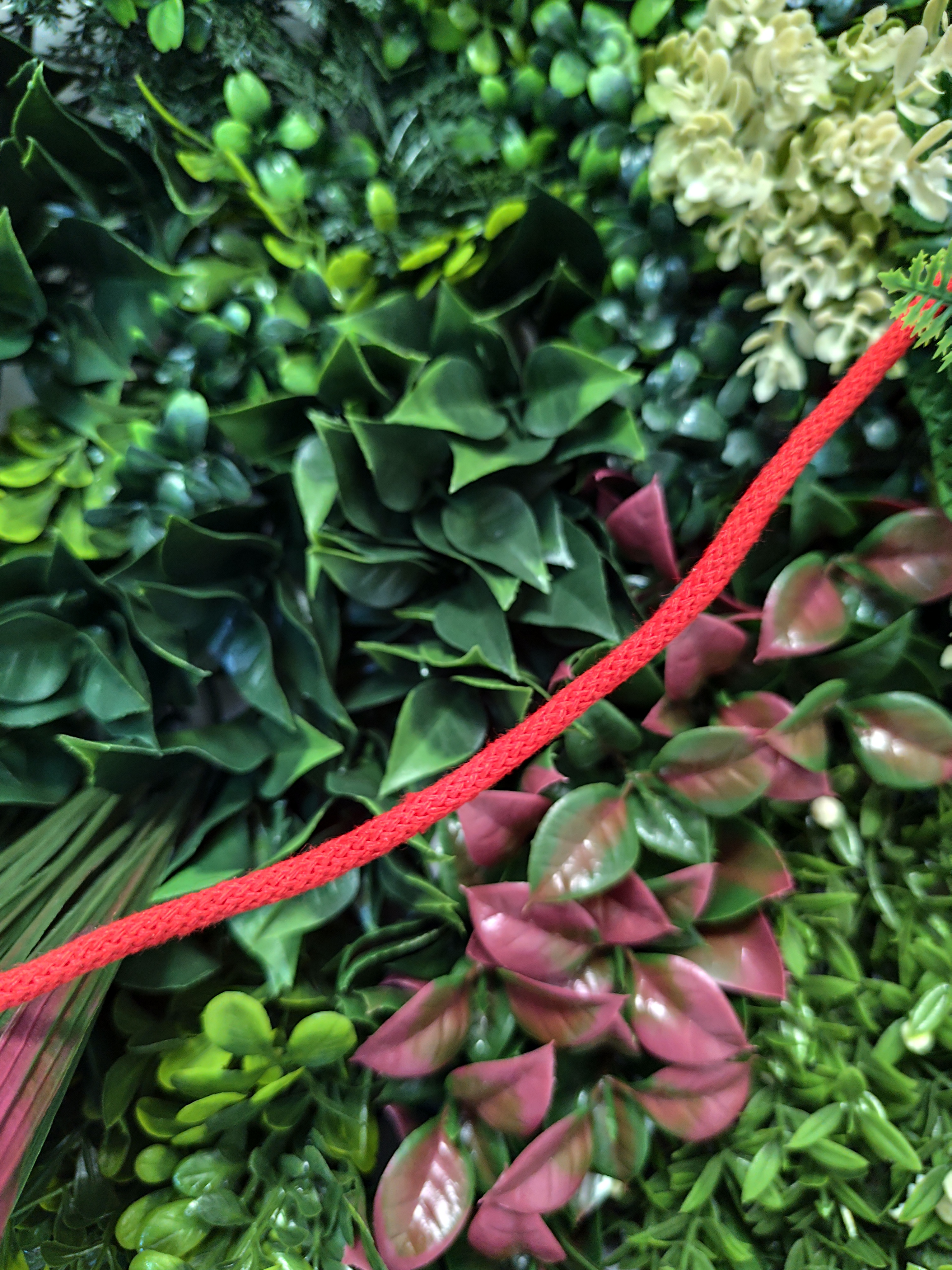 Halter z cordeo w kolorze czerwonym