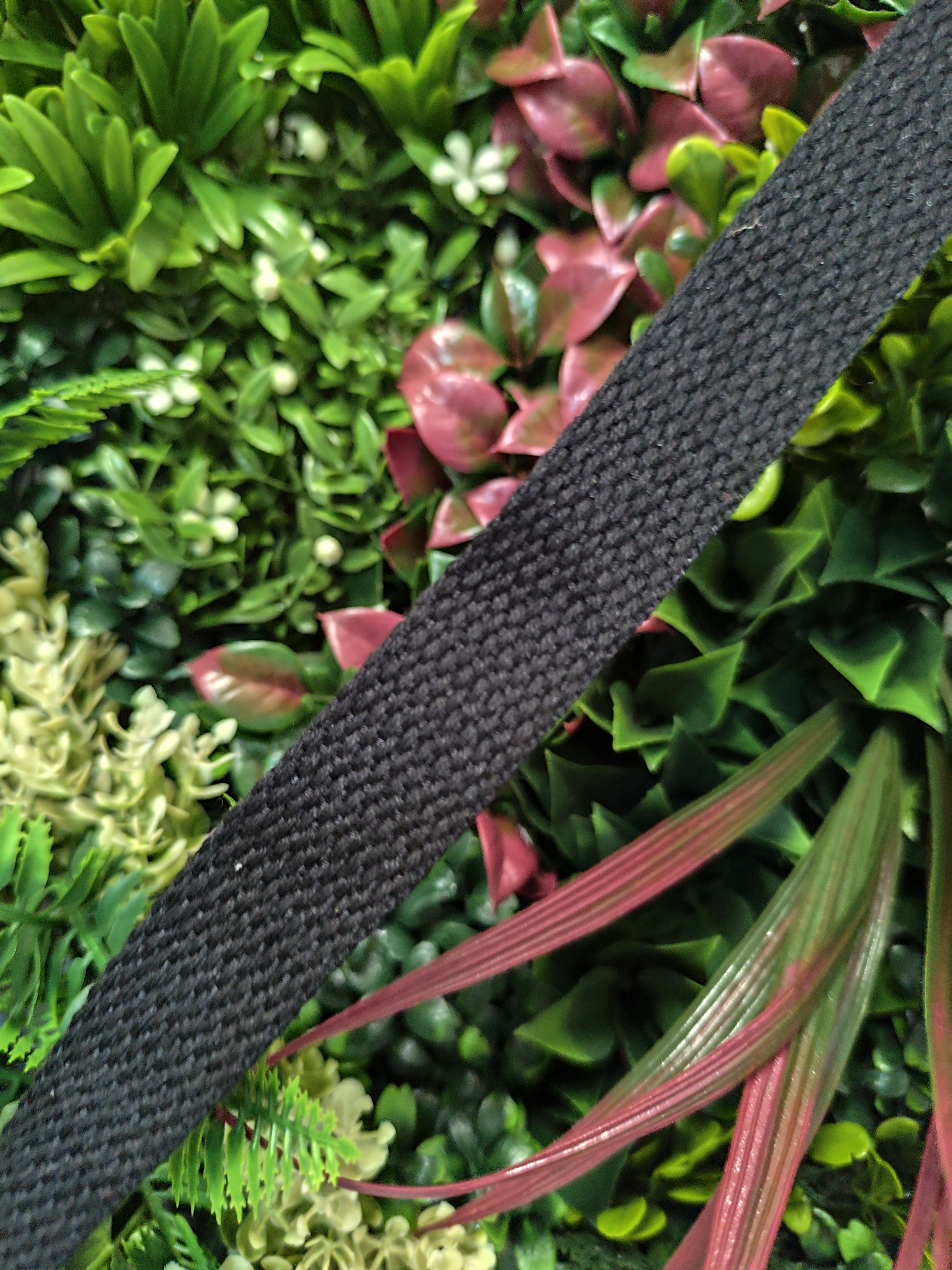 Kantar czarny do lonżowania