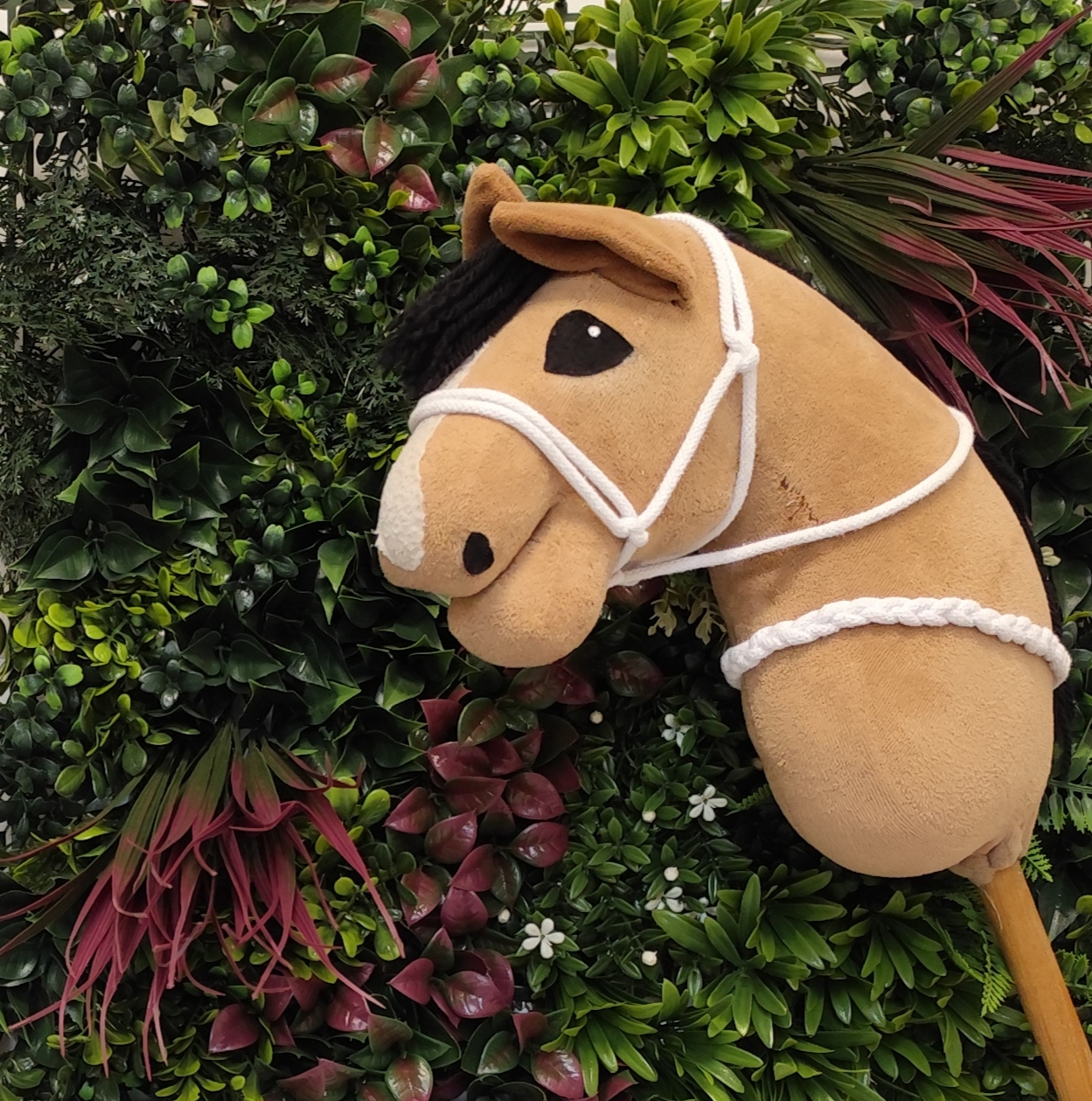 Halter z cordeo w kolorze białym