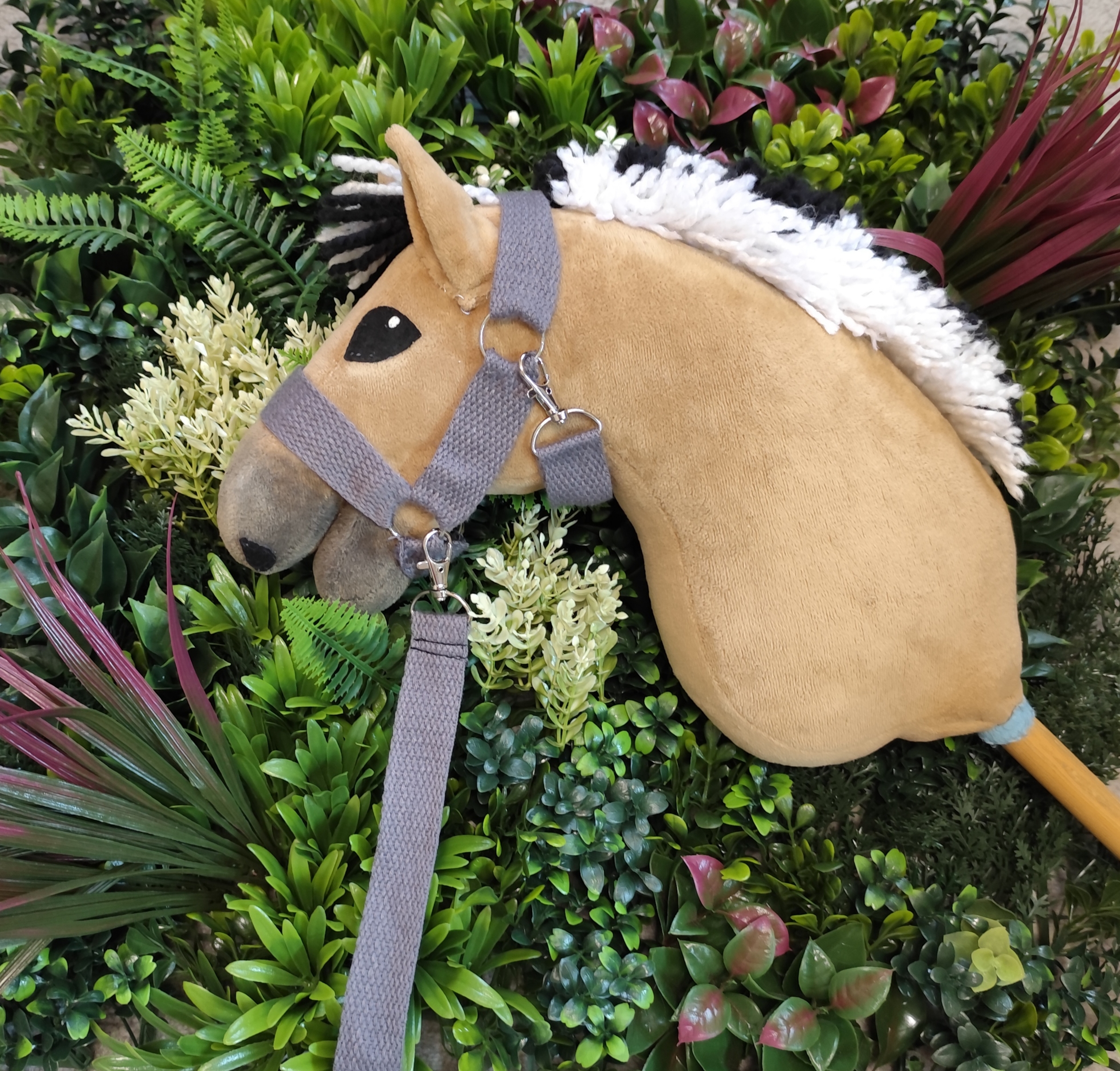 Kantar z uwiązem szary do lonżowania