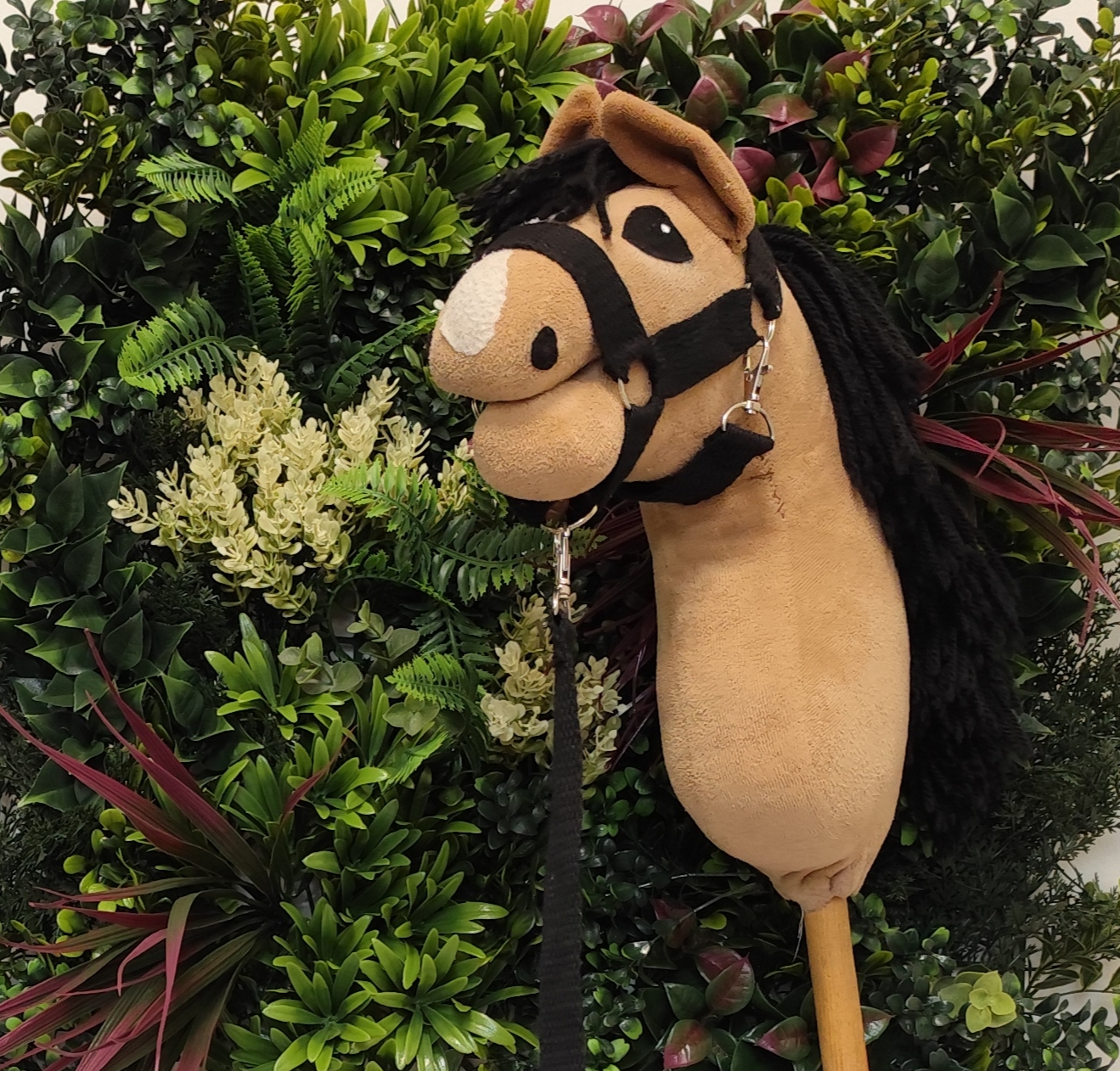 Kantar czarny do lonżowania