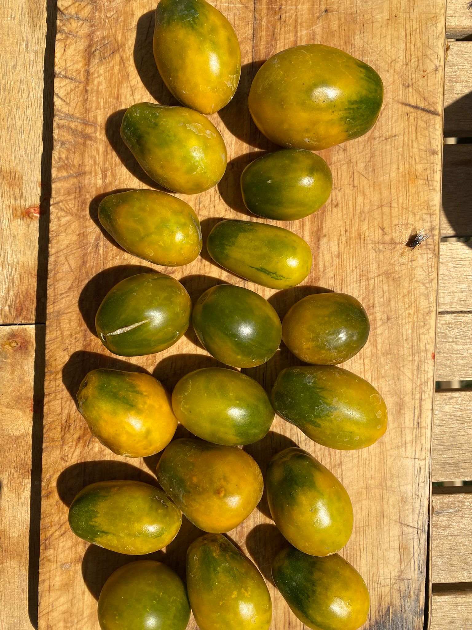 Goldene grüne Tomaten, grünes Birnchen, 20 Samen