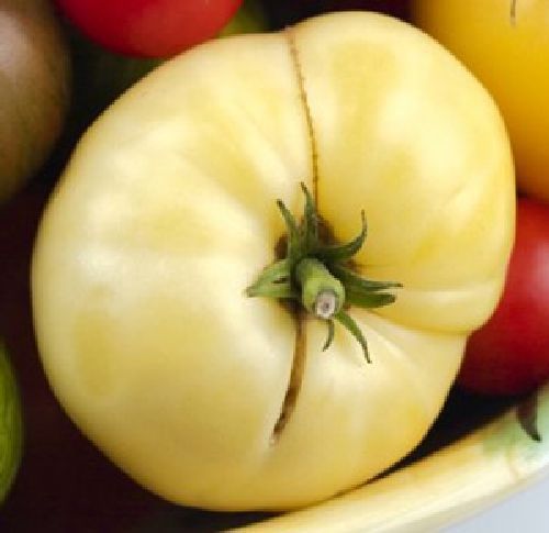 grosse weisse Fleischtomate, 20 Samen