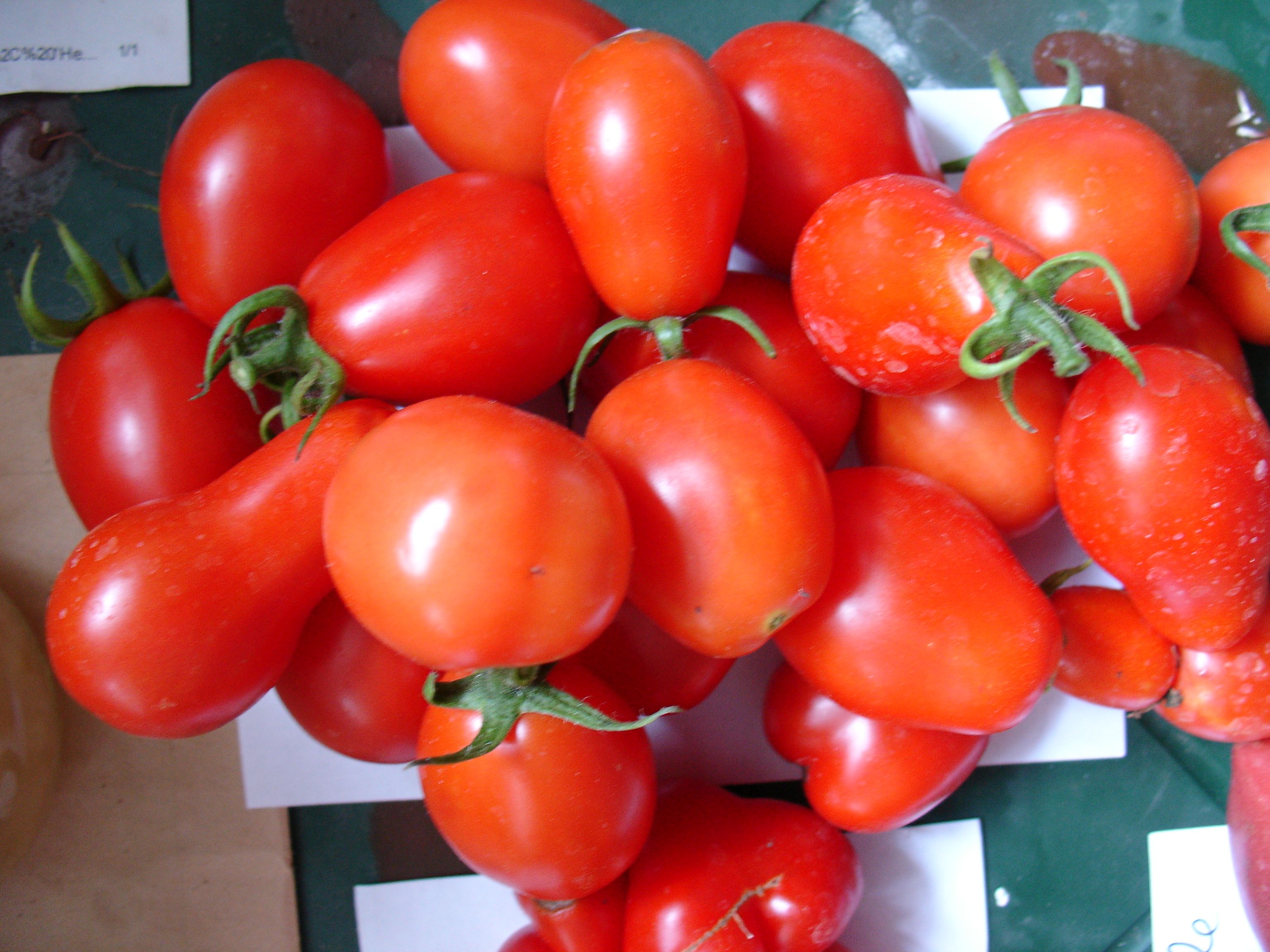 Rotes Birnchen Tomate, 20 Samen