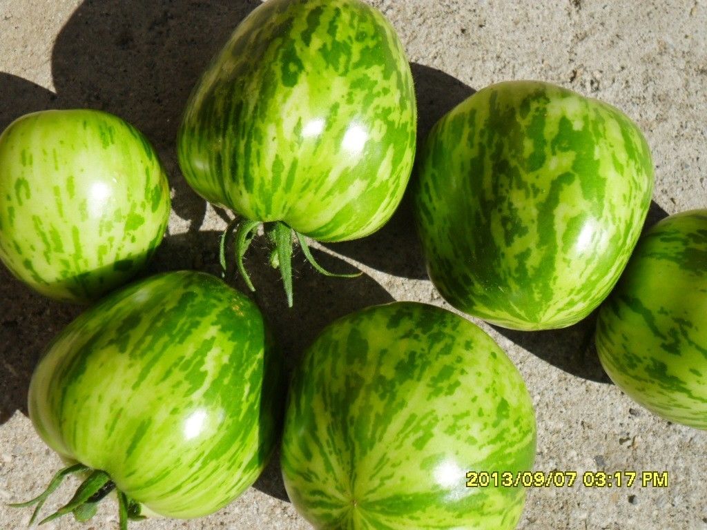 Grüne Zebra Tomaten, 20 Samen
