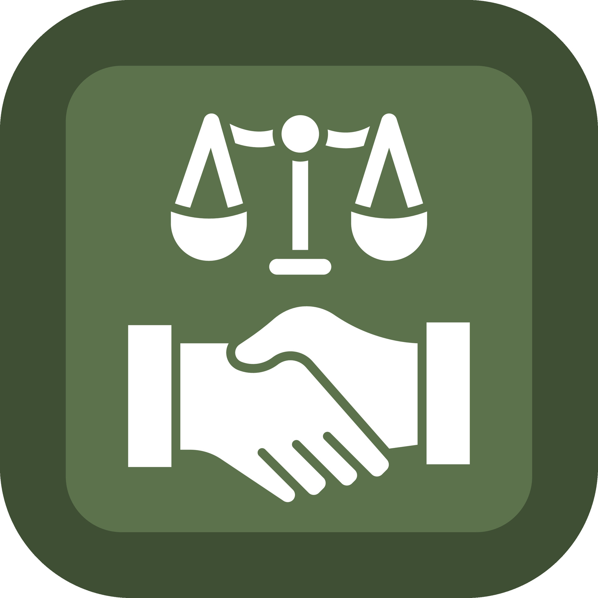 Legal Consultation Service