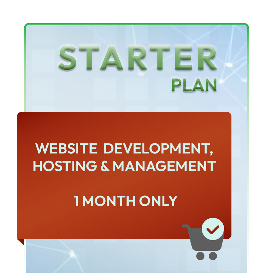 STARTER PLAN