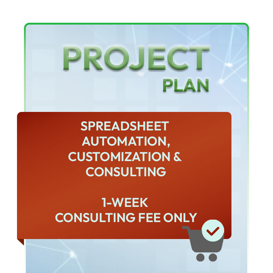 PROJECT PLAN CONSULTING FEE