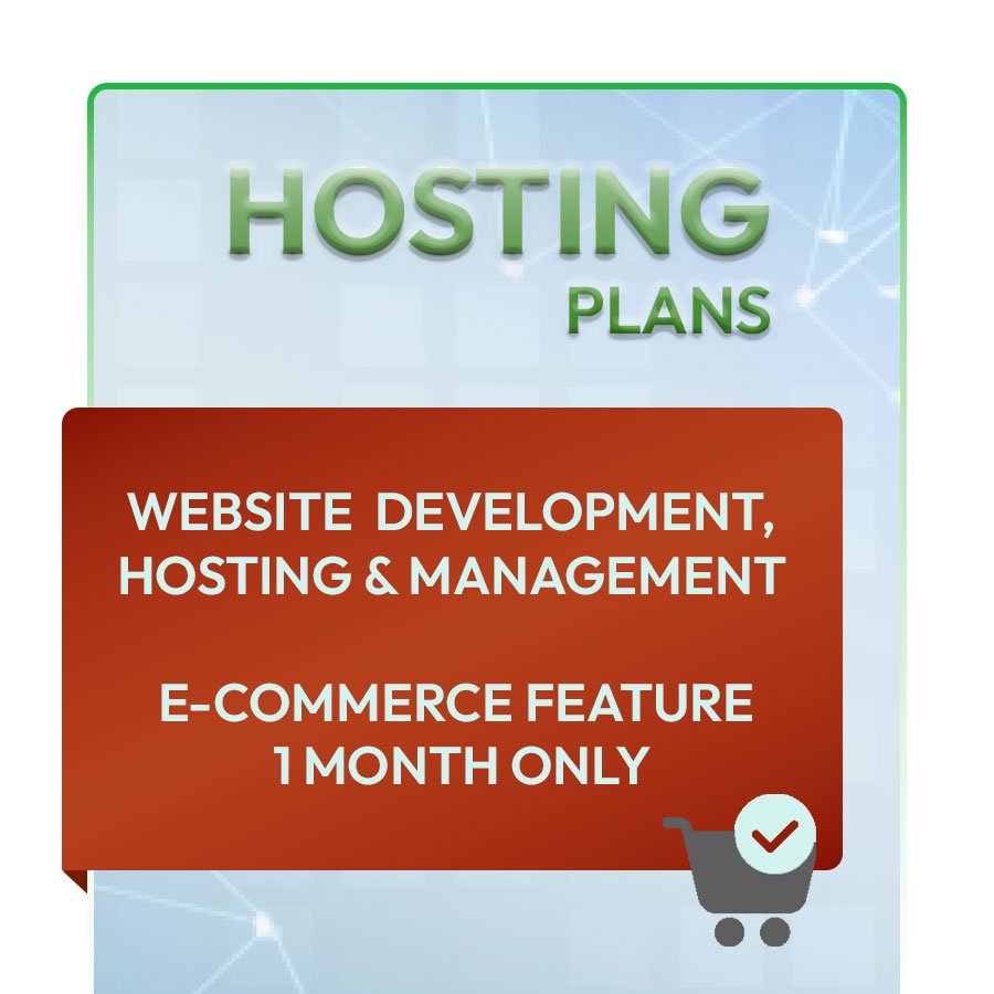 E-COMMERCE ADD-ON