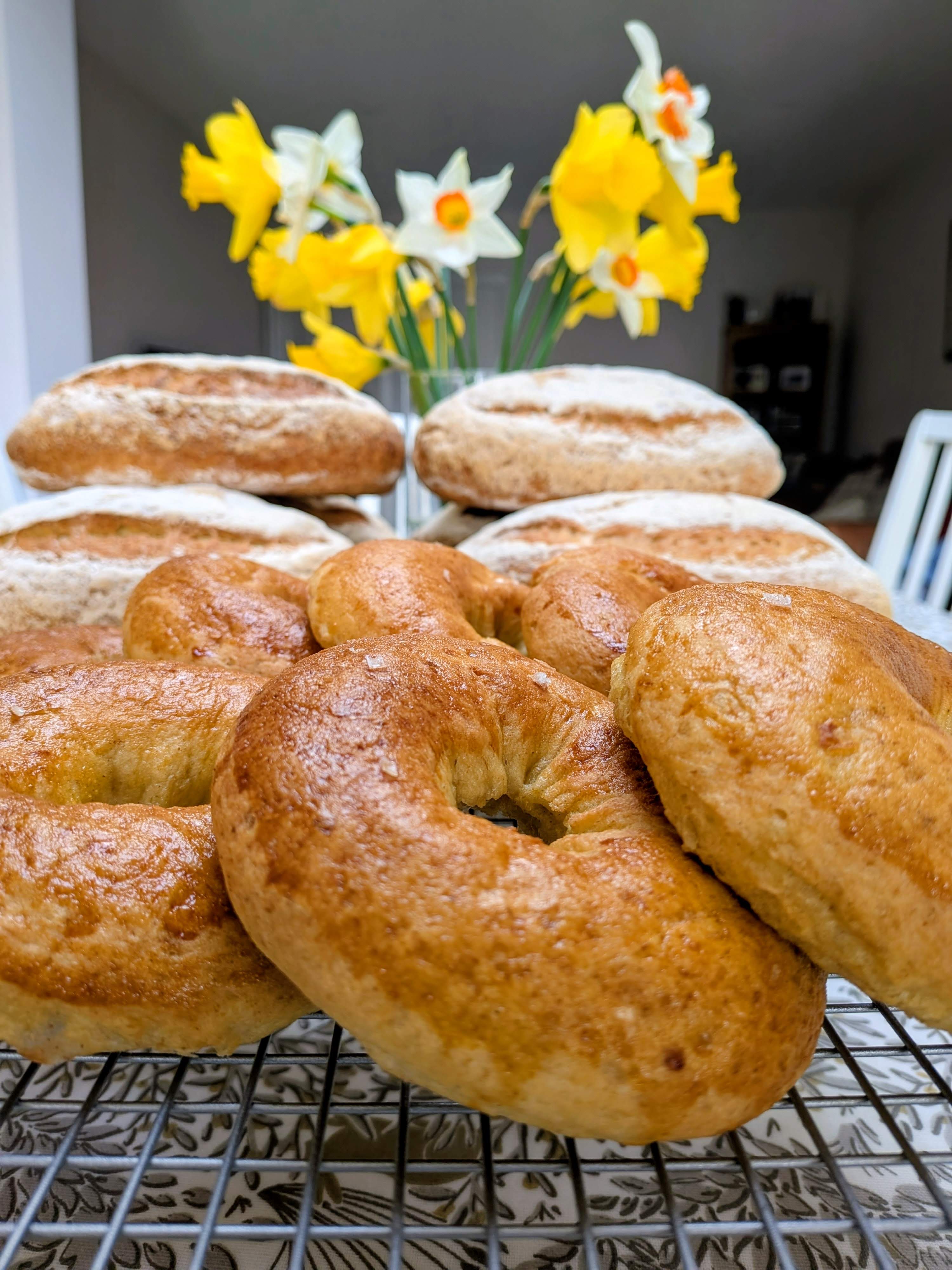 Bagels - pack of three (frozen)