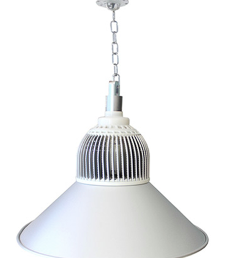 Industrial Pendant Light