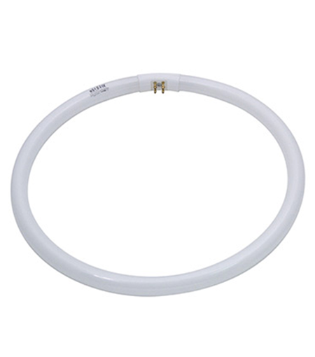Circular Fluorescent Light Bulb