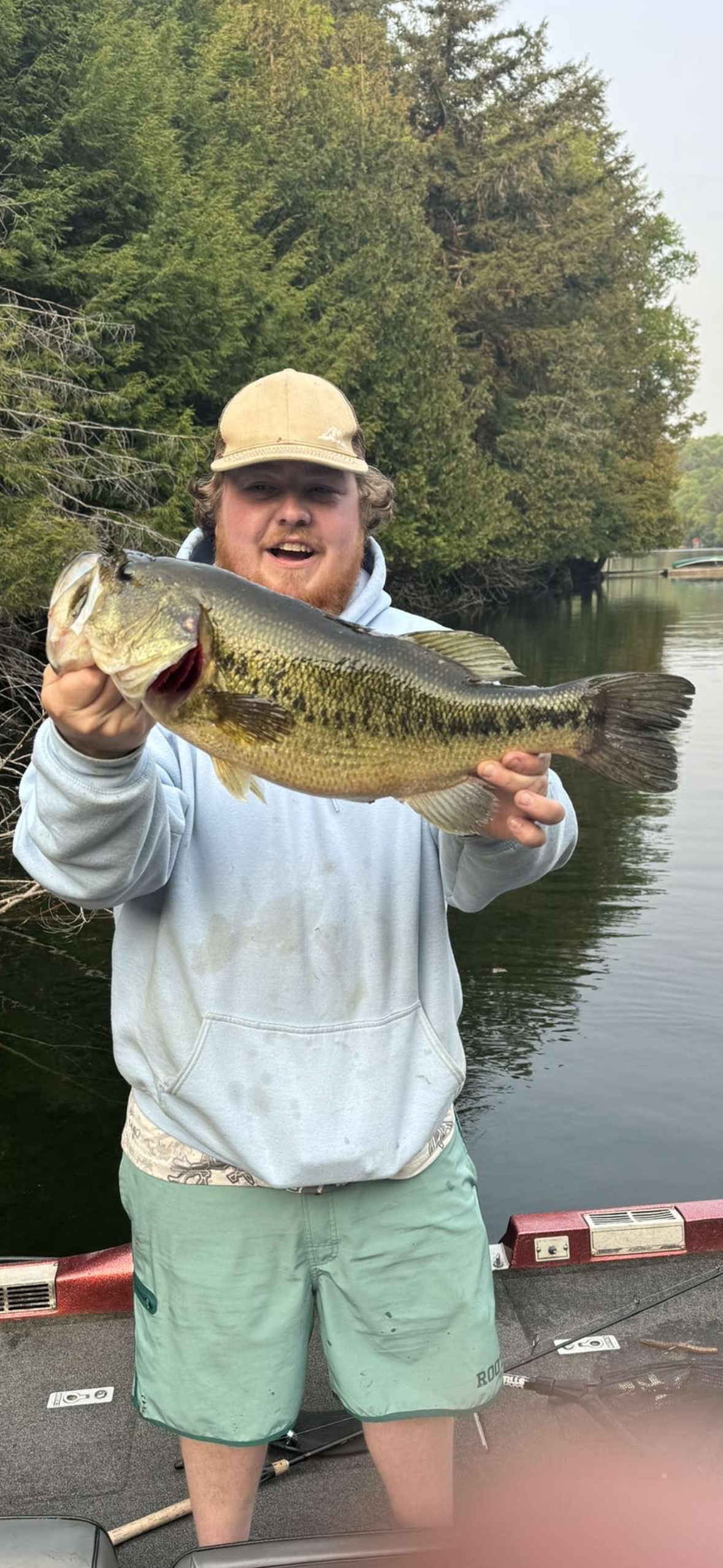 Hog Logs          5"& 6"