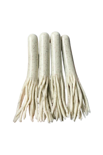 Noob Tube           4"