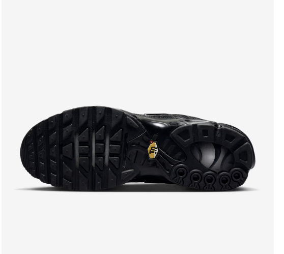 Nike Max Plus Black