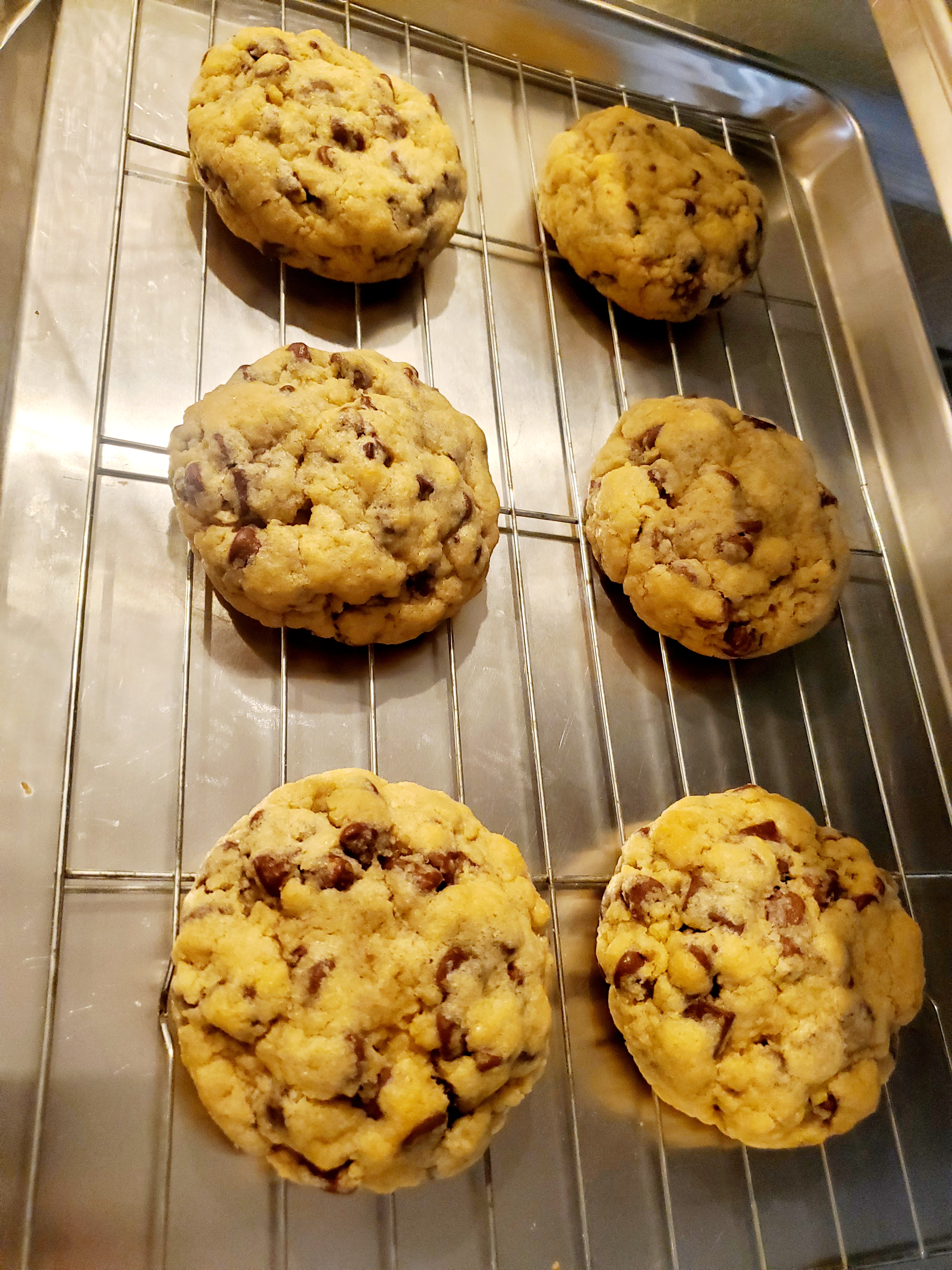Chocolate Chip