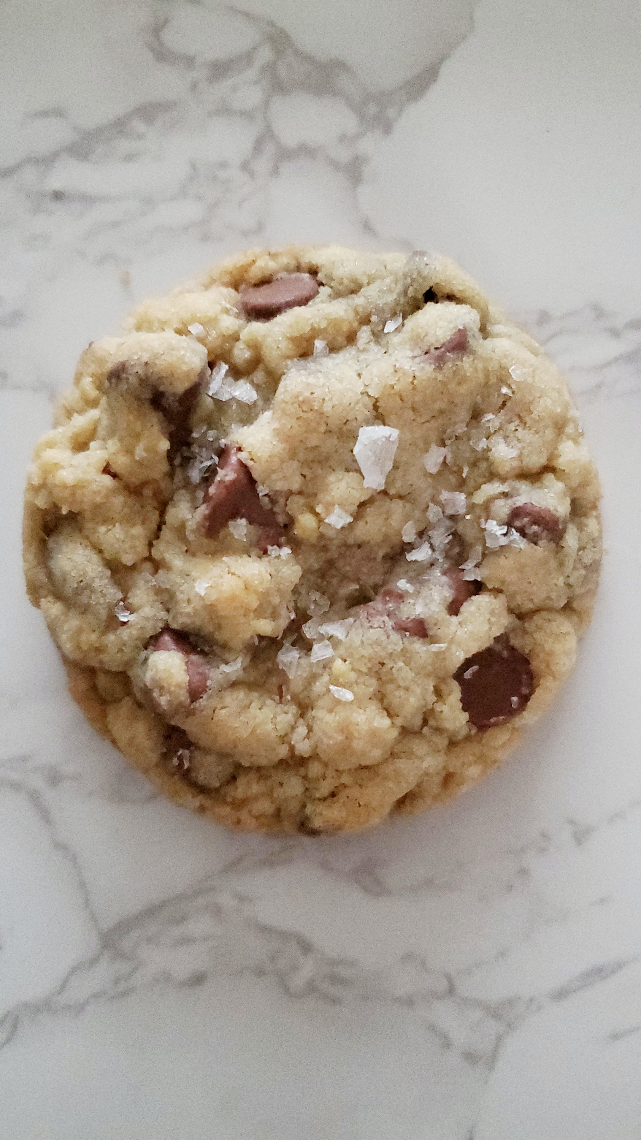 Sea Salt Chocolate Chip