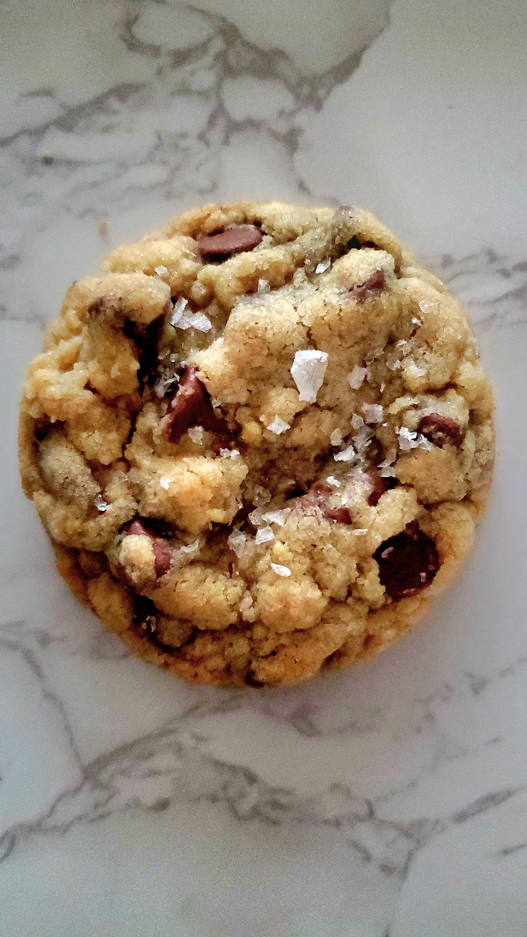 Sea Salt Chocolate Chip