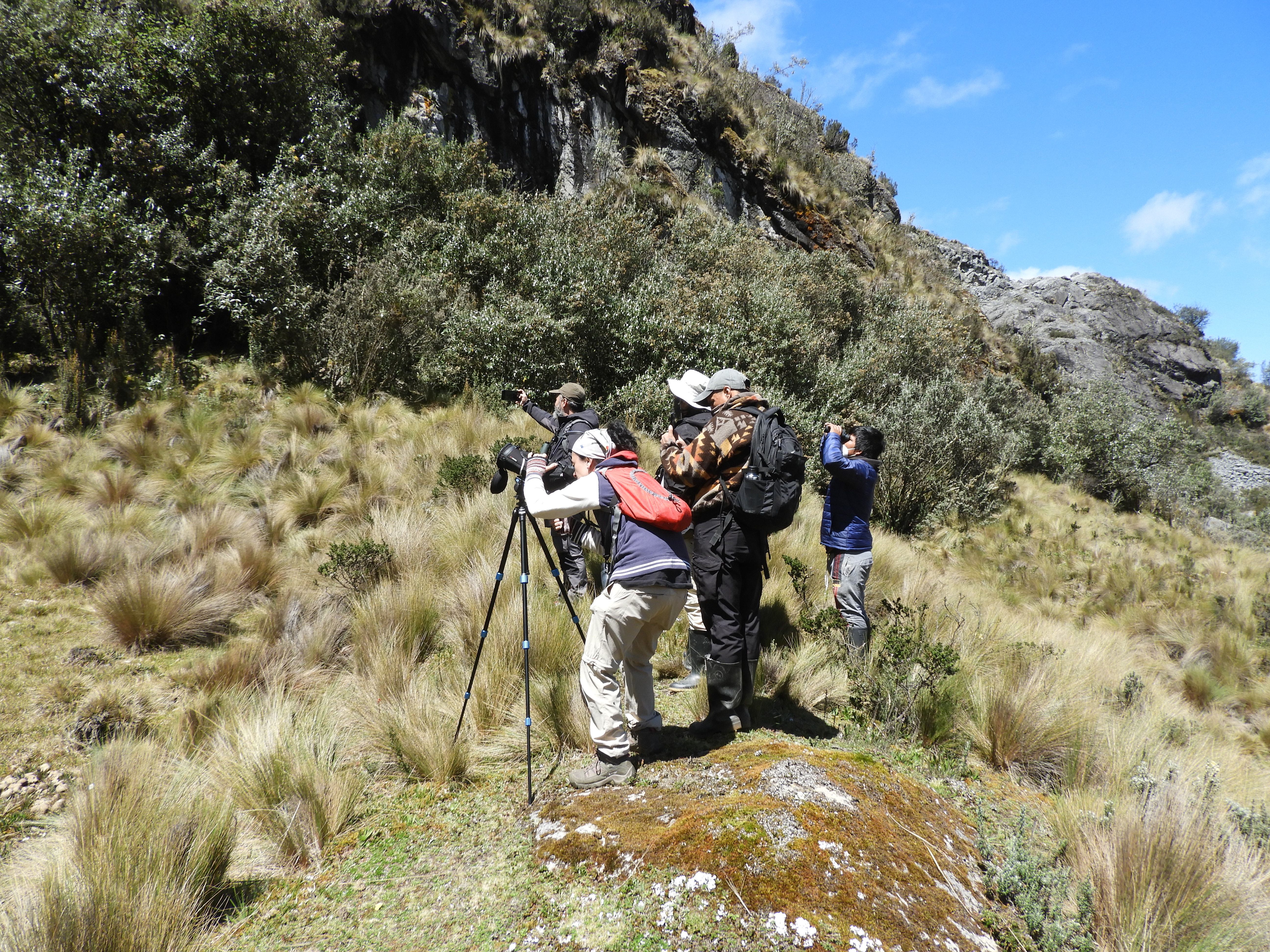 Cajas National Park Birding Tour