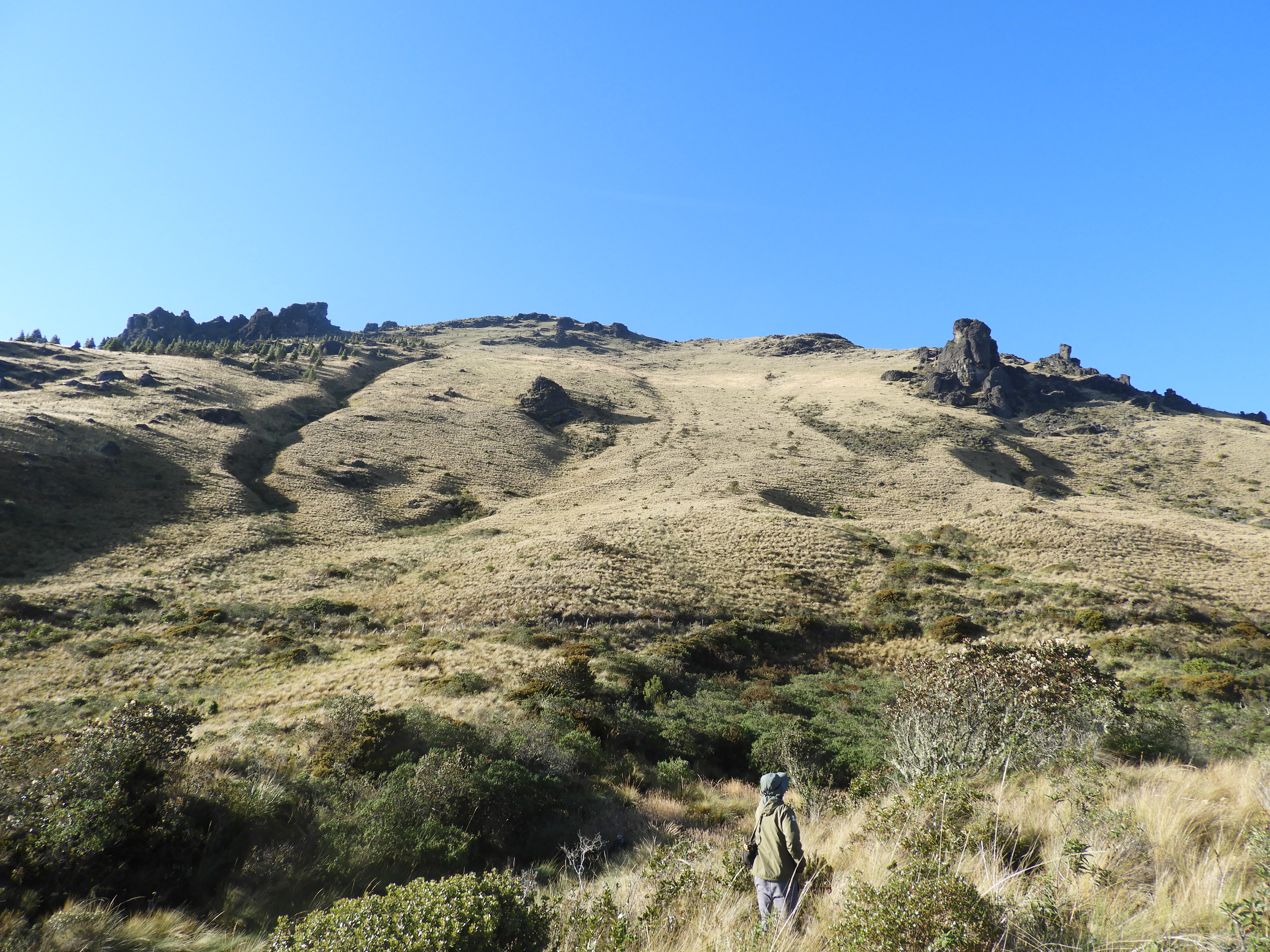 CERRO DE ARCOS  Birding tour