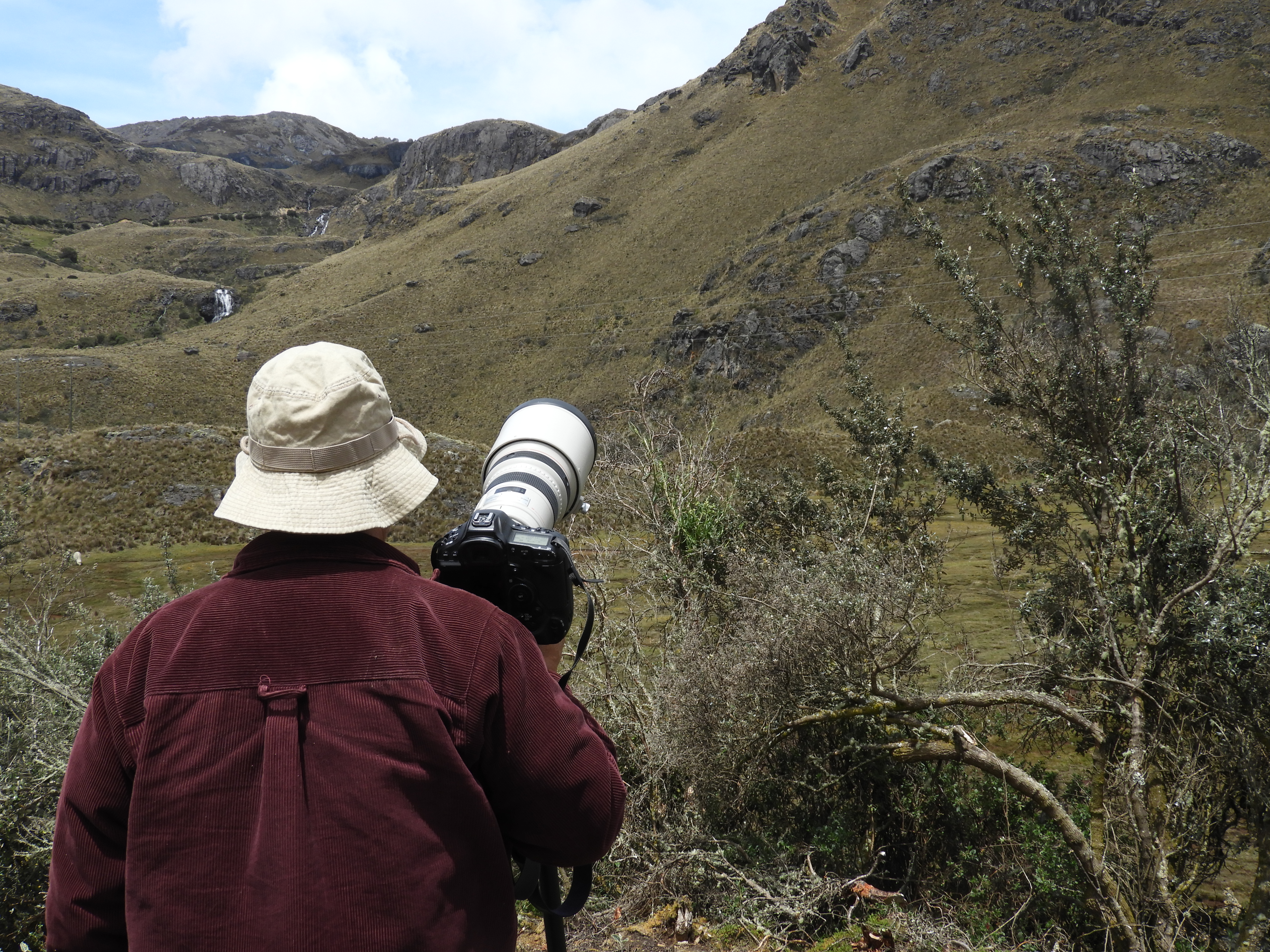 Cajas National Park Birding Tour