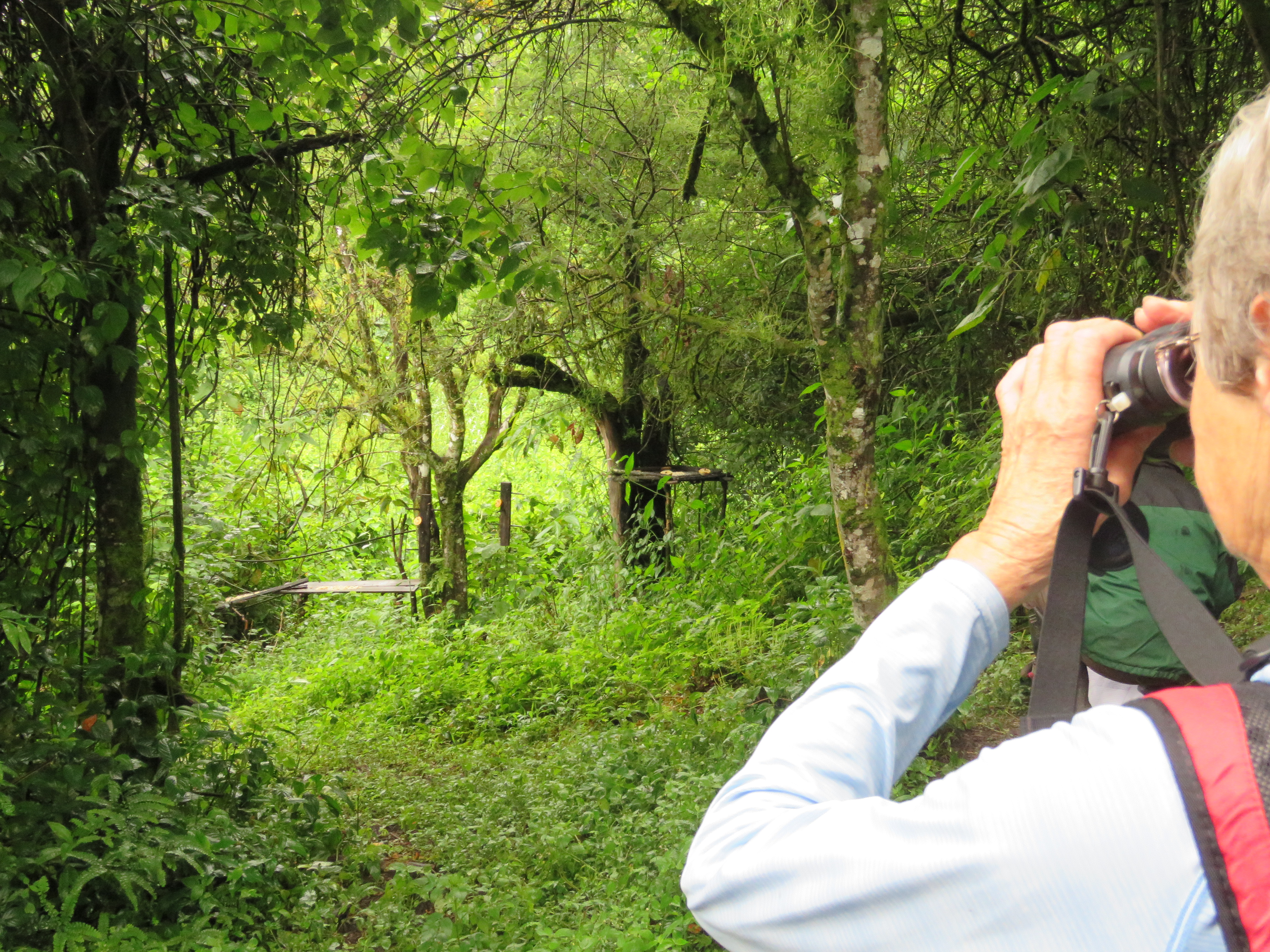 Yunguilla Reserve Birding Tour