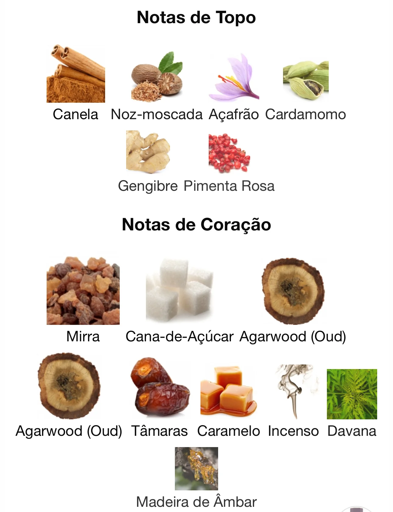 Cocoa Morado