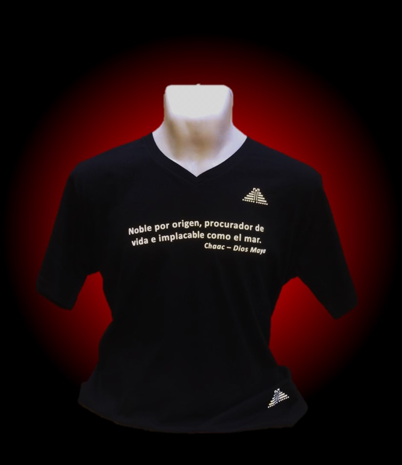 Playera para caballero cuello V