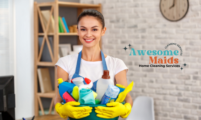 3 Labor Hours (up to 2 Bd / 1 Ba) - Regular Home Cleaning