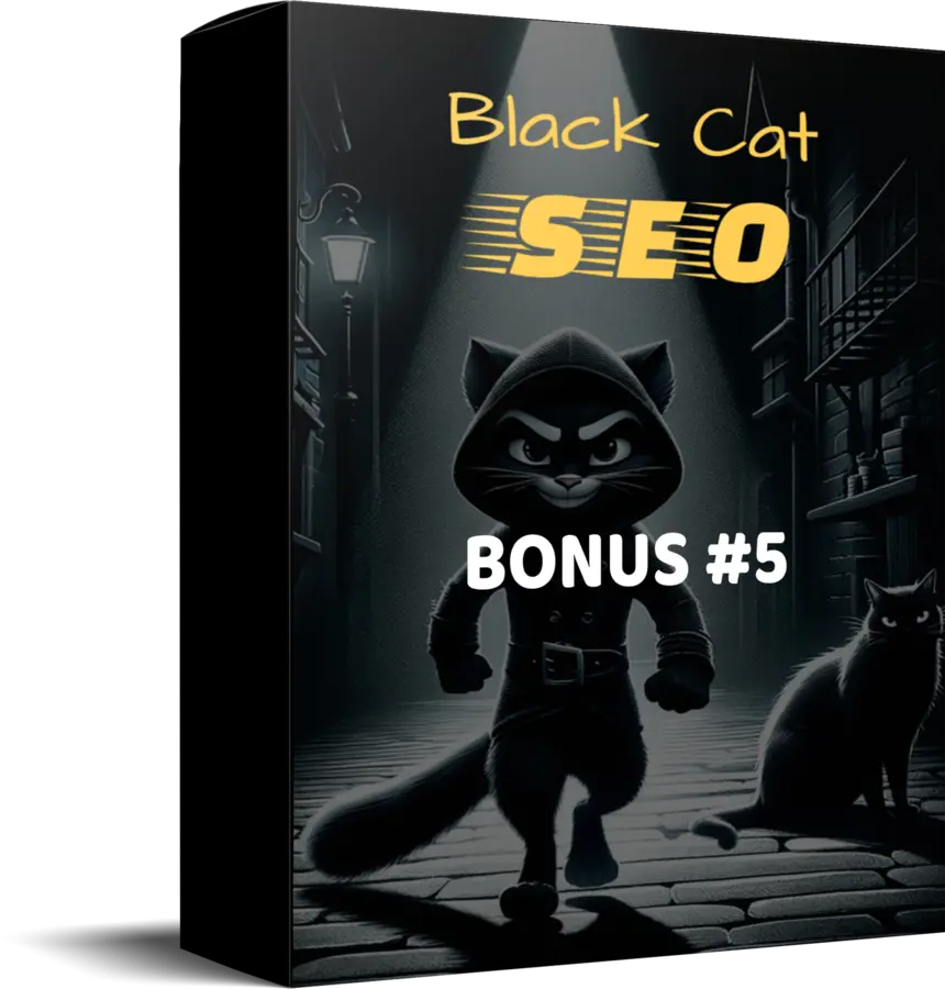 Black Cat SEO