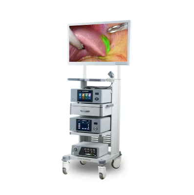 3D Endoscopic Visualization System - Fluorescence Medical Camera With HD Endoscope Video Camera -4k 