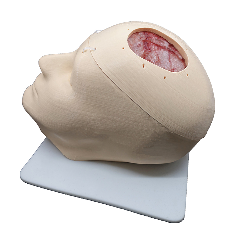 Dural Repair Training Model For Neurosurgery Training