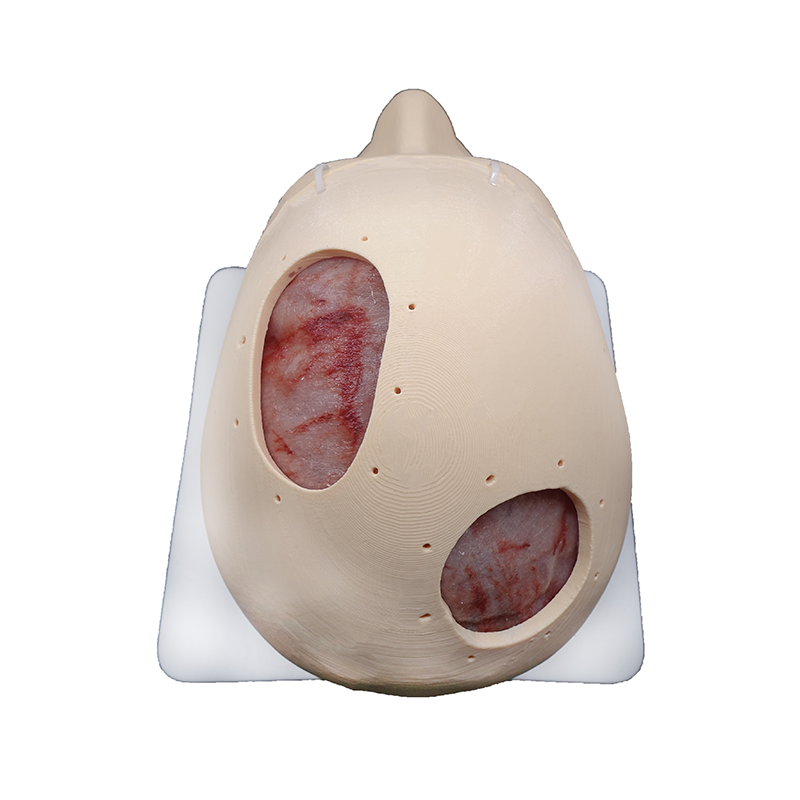 Dural Repair Training Model For Neurosurgery Training