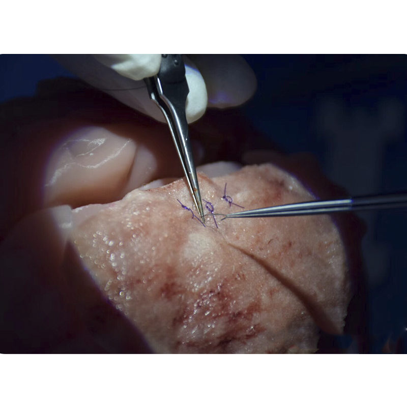 Dural Repair Training Model For Neurosurgery Training