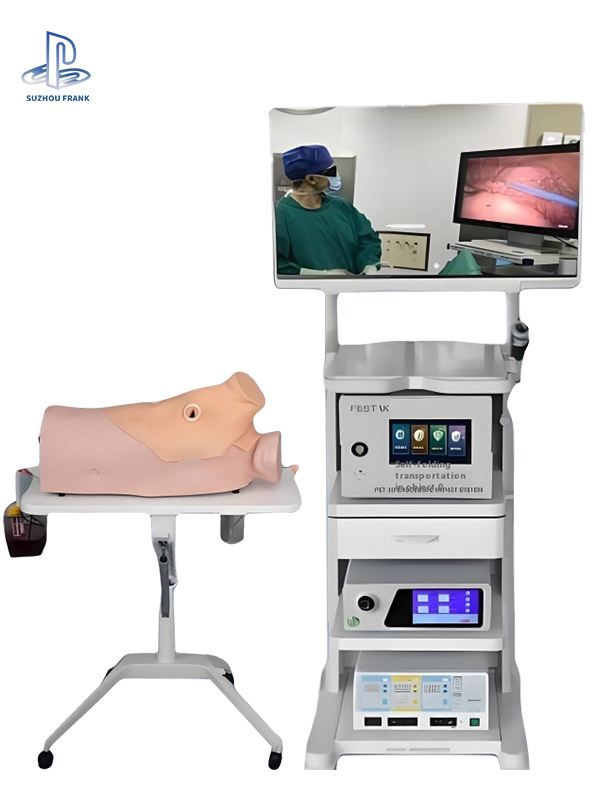Suzhou Frank 4K 3D Laparoscope System Examination Leading Imaging Equipment 3D Converter for Endoscope Camera Teaching