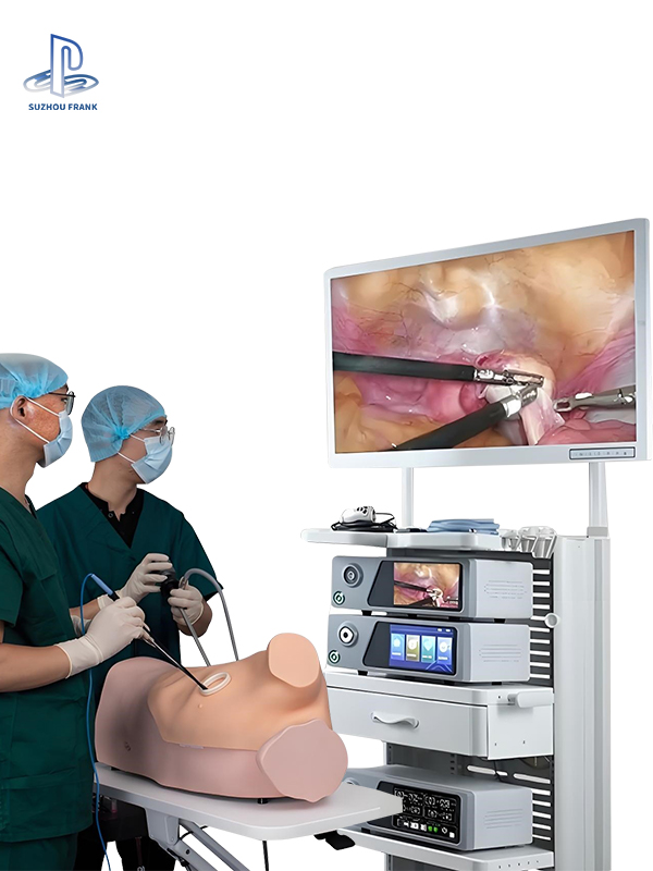 Suzhou Frank 4K 3D Laparoscope System Examination Leading Imaging Equipment 3D Converter for Endoscope Camera Teaching