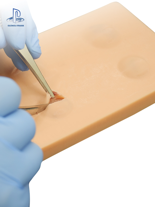 Suzhou Frank Mohs Surgery Skin Cancer Training Model High Molecular Weight Simulated Mimics Human Skin Incision, Dissection, Removal, Suturing, etc.