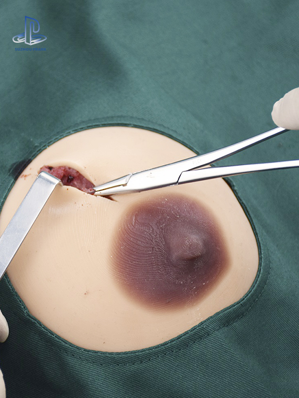 Suzhou Frank Breast Tumor Training Model Breast Palpation, Tumour Excision, Cosmetic Suturing, and Breast Reconstruction