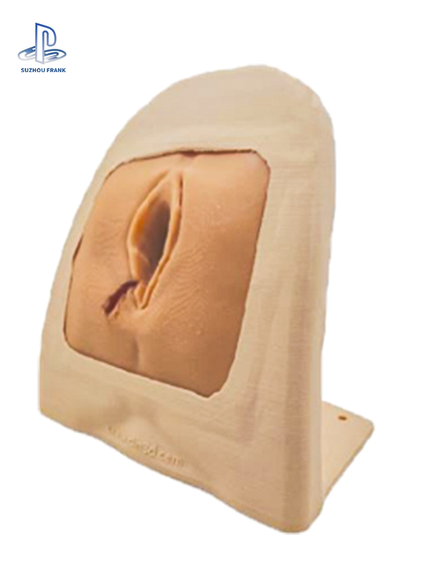Suzhou Frank Lateral Perineal Vulva Laceration Training Model Simulated Suturing Practice