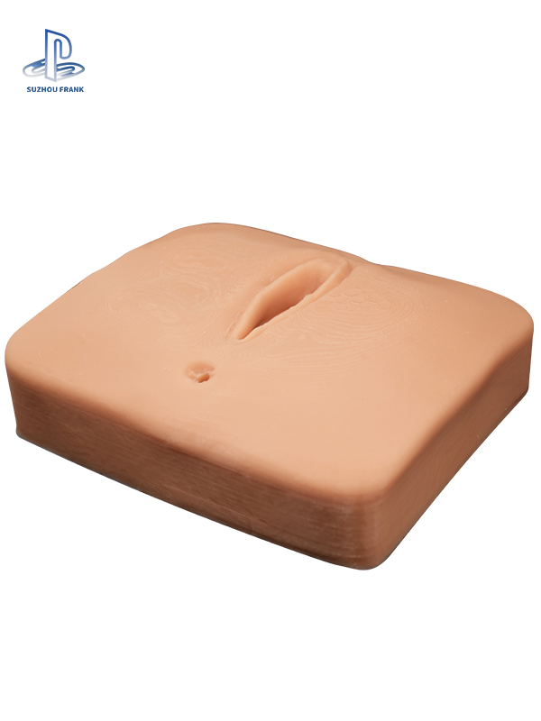 Suzhou Frank Lateral Perineal Vulva Laceration Training Model Simulated Suturing Practice