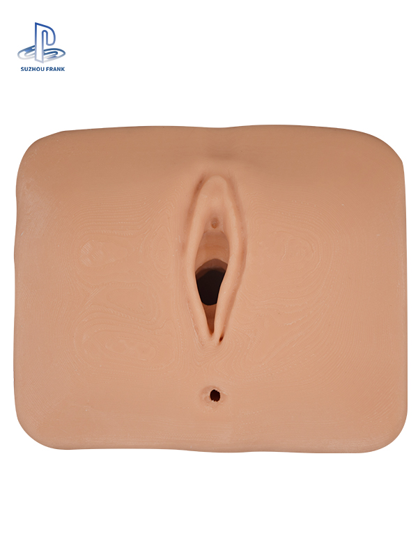 Suzhou Frank Lateral Perineal Vulva Laceration Training Model Simulated Suturing Practice