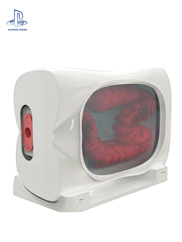 Suzhou Frank Colonoscopy Training Model SLD Silic A Gel Ndoscopies of Anus Four Types of Simulated Polyps