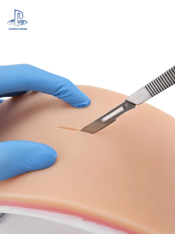 Suzhou Frank Subcuticular Suturing Model Training Model Flexibility Elastic Modulus Surgery Training Model