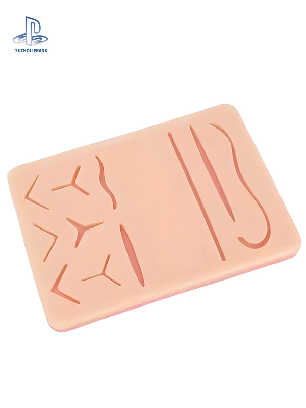 Suzhou Frank Subcuticular Suturing Model Training Model Flexibility Elastic Modulus Surgery Training Model