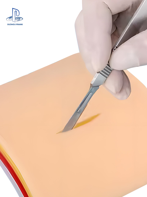 Suzhou Frank Abdominal Wall Suture Training Model Silicone General Surgery Ayer-by Layer Suturing Training