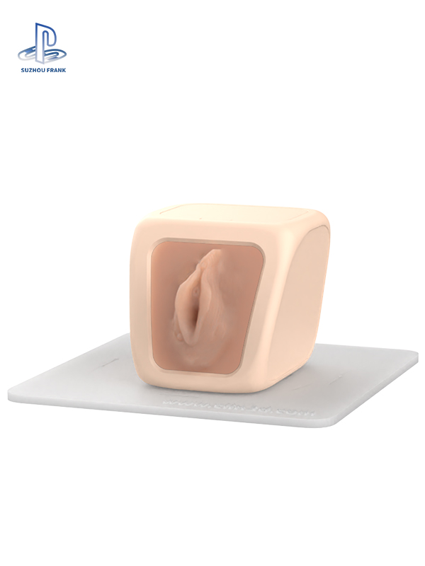Suzhou Frank  Hysteroscopy  Training Model Endoscope Silicone 3D Printing Endoscopic Surgery Training Model
