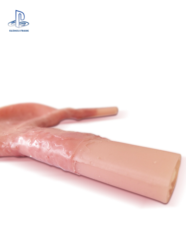 Suzhou Fank Gastrointestinal Anastomosis Model Gastroenterology Silicone  sSimulating the Texture Surgery Training Model