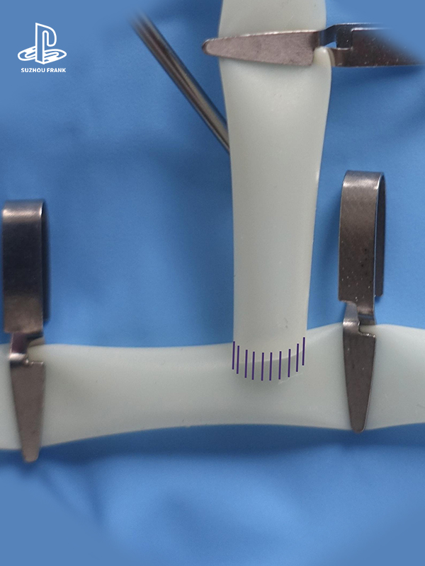 Suzhou Frank  Vascular Anastomosis and Lateral Leakage Device Training Model 3D Printing General Surgery  Silicone Surgery Training Model