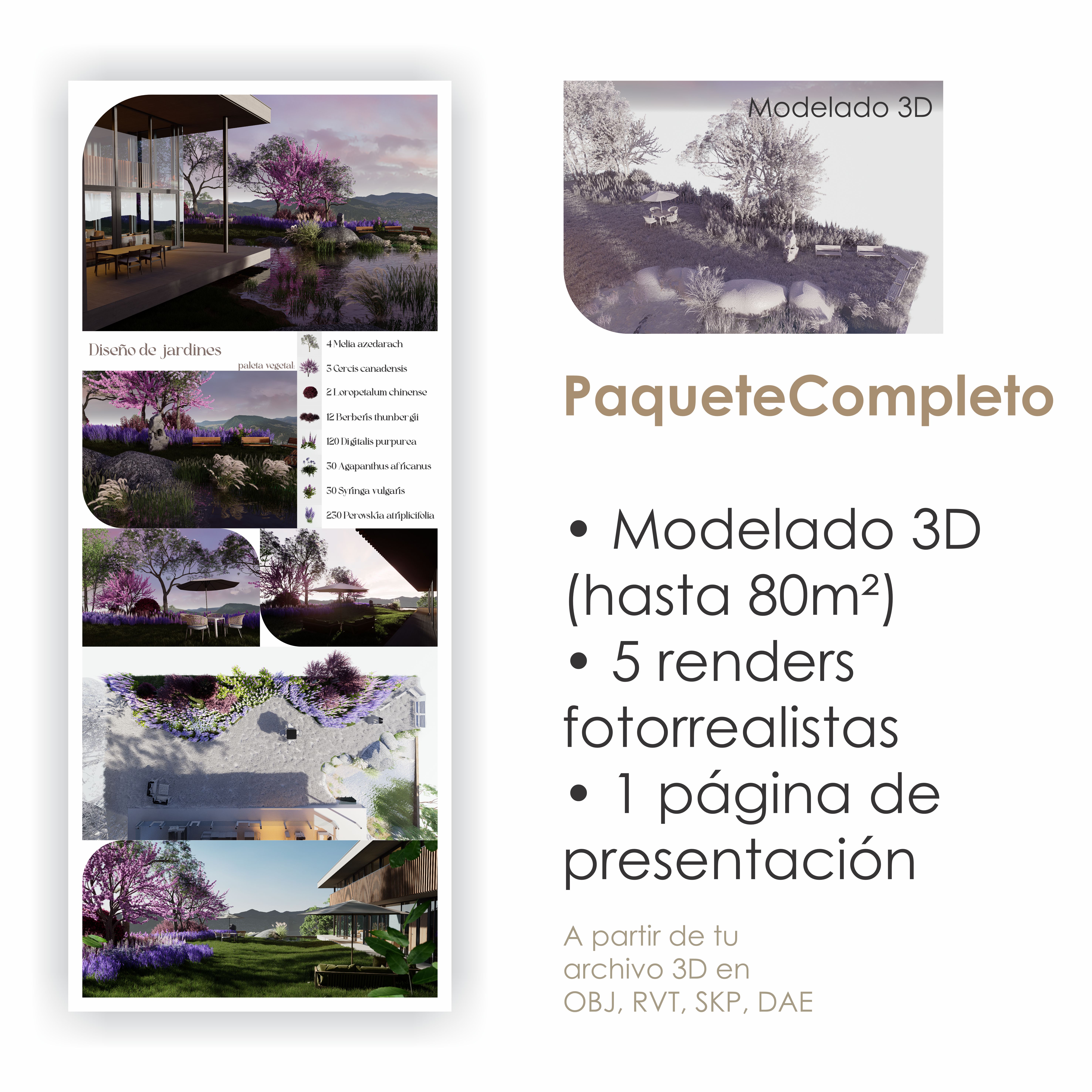 Paquete Completo