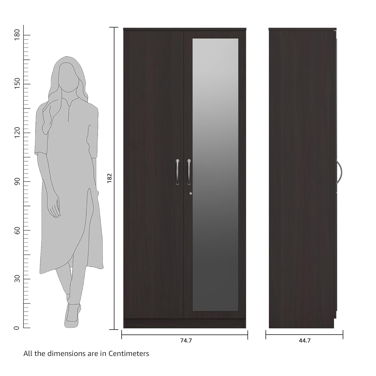 Elegant Wenge Finish 2- Door Wardrobe With Mirror
